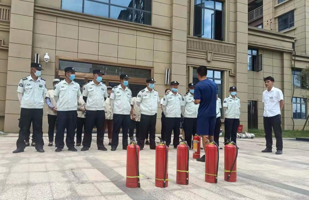 樟樹3.jpg 樟樹3.jpg