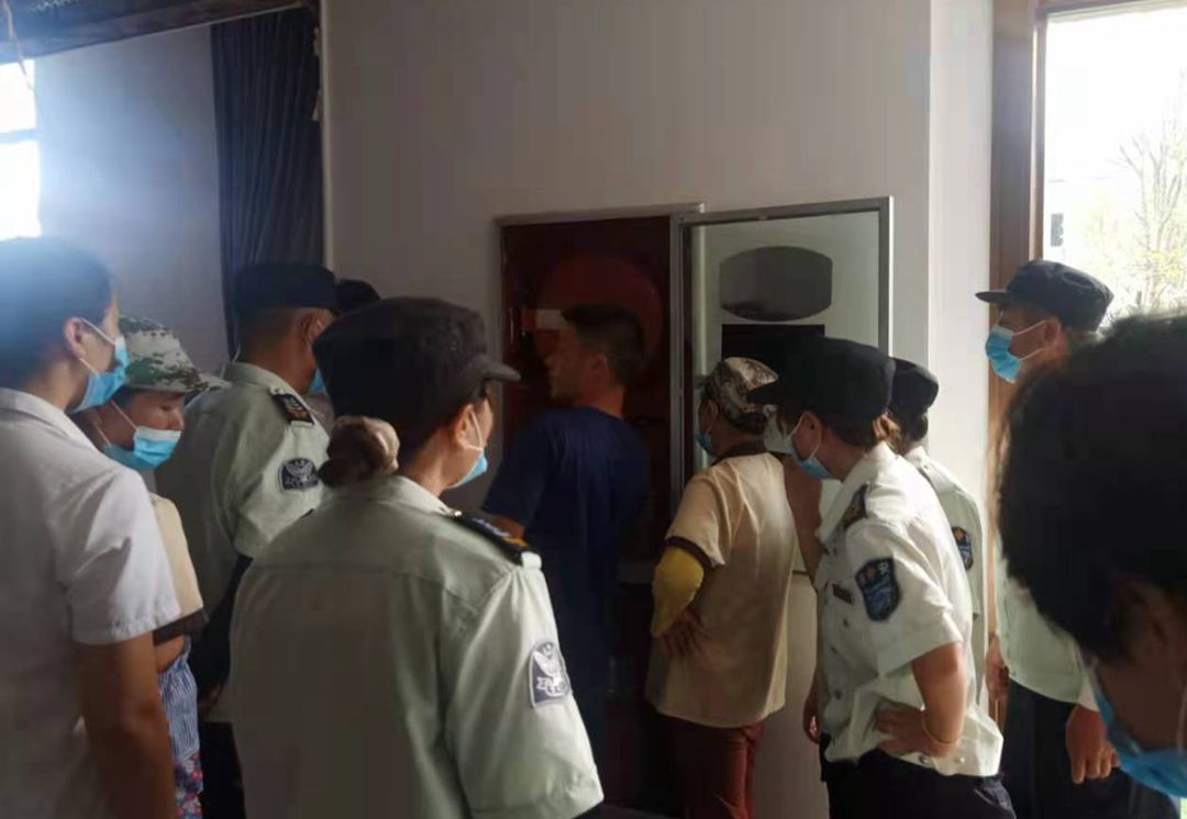 樟樹6.jpg 樟樹6.jpg