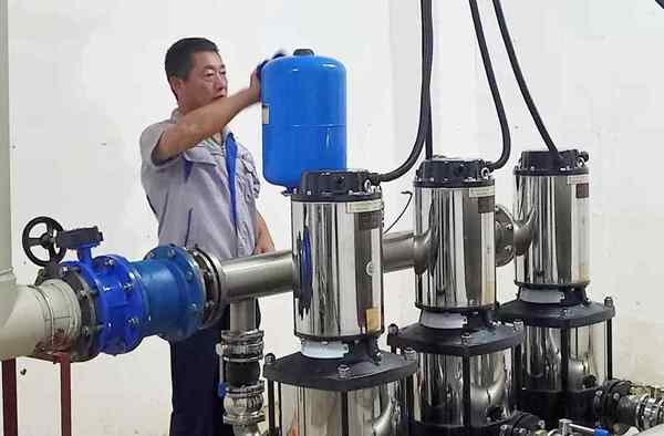 樟樹5_副本.jpg 樟樹5_副本.jpg