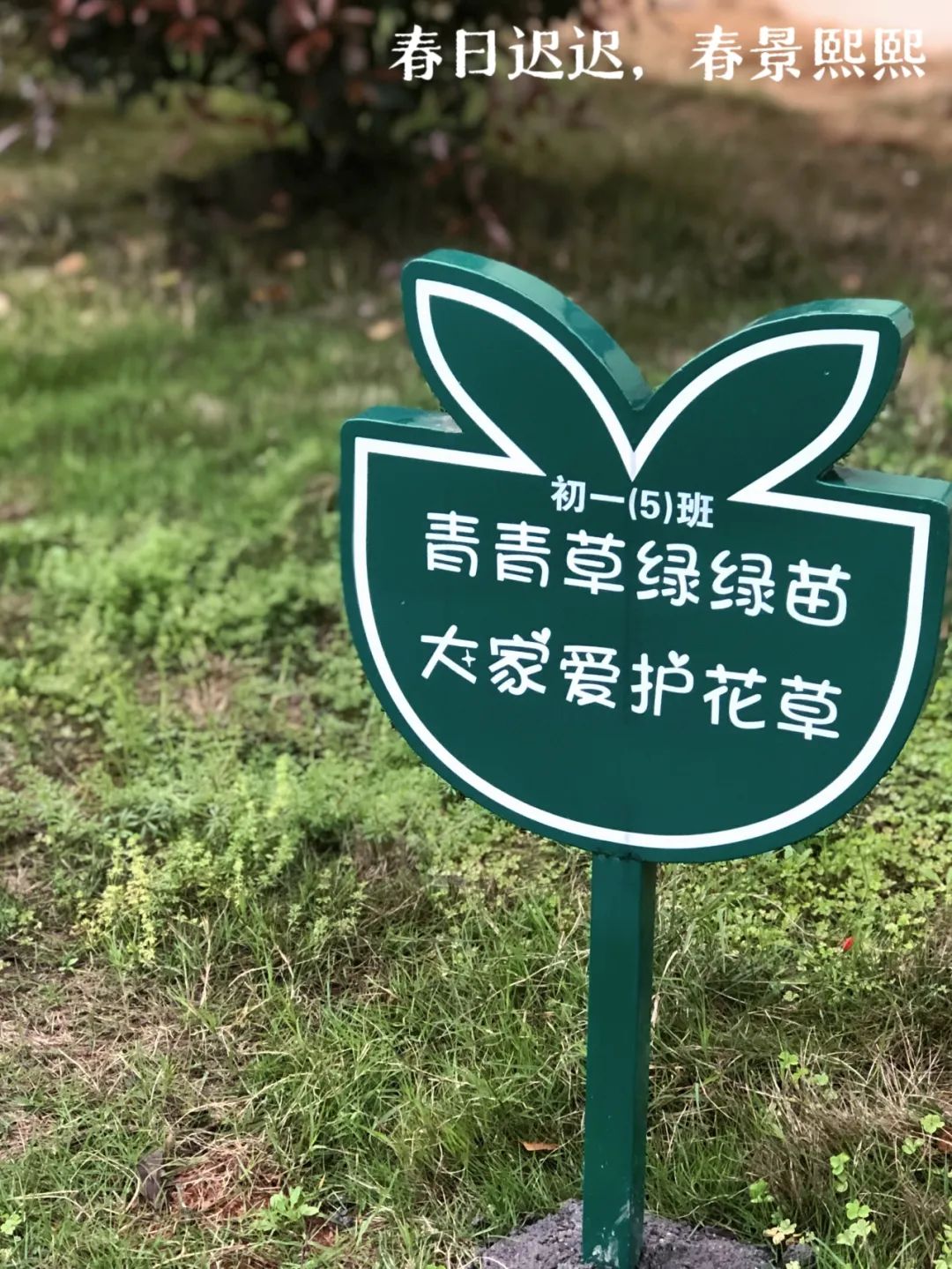 d393665c505c3b4c15ebfbfffe1eb5fa.jpg d393665c505c3b4c15ebfbfffe1eb5fa.jpg